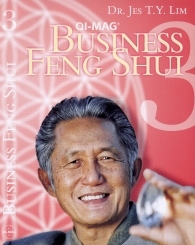 Feng Shui 3 Business (2 DVD + Handbuch)