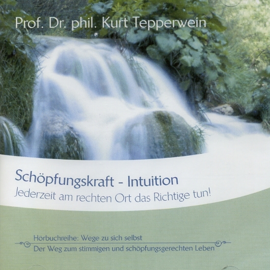 Schöpfungskraft Intuition (CD)